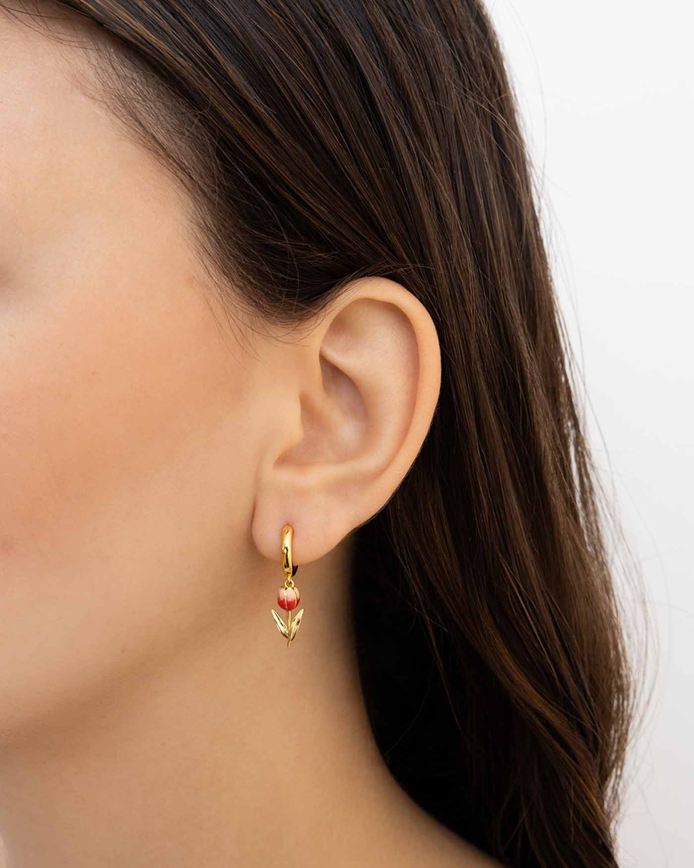 Hoop Tully - Image 22